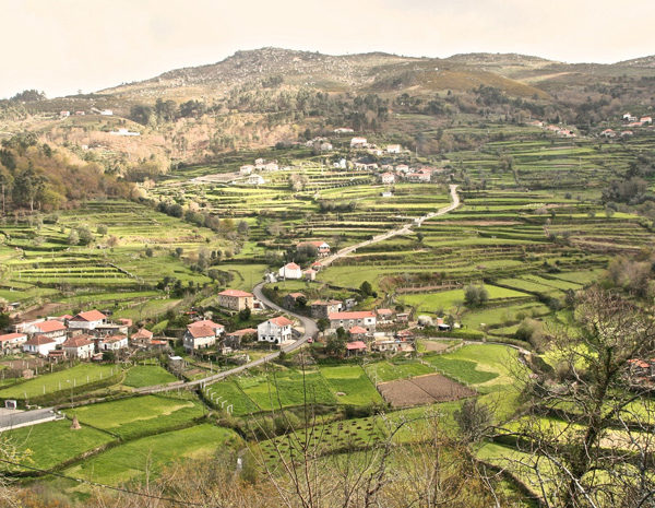 Traditional ag terraces maintained by small-scale mixed farming in Portugal