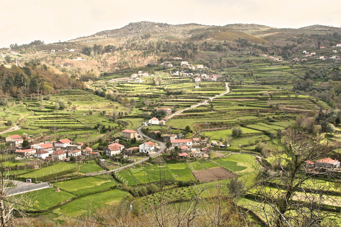 Traditional ag terraces maintained by small-scale mixed farming in Portugal